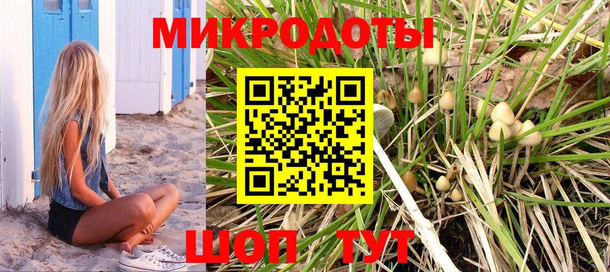 Псилоцибиновые грибы Psilocybe Вольск
